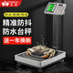 至尊（ZHIZUN）稱重落地電子秤商用臺秤擺攤電子稱小型地磅秤高精度防水產(chǎn)海鮮計價秤水果快遞秤 【防水臺秤】稱重300kg超大臺面42*52cm