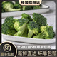 槿饈西蘭花500g 新鮮脆嫩青花菜綠花菜西藍花椰菜 農(nóng)家菜 500g