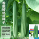 福順德特長棱角絲瓜種子抗寒耐熱庭院盆栽蔬菜八角絲瓜種子四季可播 菱角絲瓜種子【原裝新種】 精選原裝新種1包【30粒】加肥料