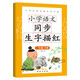 小學(xué)語文同步生字描紅 一年級下冊 同步生字描紅每日一練天天練描紅同步人教版字帖隨堂練習(xí)冊筆畫筆順正版