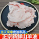 新鮮羊油純羊油羊板油食用燒烤現(xiàn)殺散養(yǎng)羊肉 鮮羊油2斤