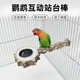 春上村下虎皮玄鳳鸚鵡鳥(niǎo)爬站桿站架站臺(tái)解悶自嗨磨牙磨爪棒磨嘴器站棍訓(xùn)練 互動(dòng)站臺(tái)帶食盆【19*7.48cm】