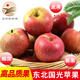 徐暖暖東北老樹(shù)小國光蘋(píng)果粉面酸甜 酸甜丑蘋(píng)果新鮮水果端午節 5斤品質(zhì)裝