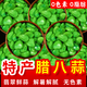 齊魯新農(nóng)人正宗臘八蒜醋泡蒜翡翠綠蒜山東特色2024新鮮泡大蒜頭罐裝密封腌制 精品【特產(chǎn)臘八蒜】500g*1瓶
