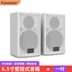 KAXISAIER 專業(yè)無源音箱100W大功率定阻會(huì)議室壁掛吊裝全頻音響 T65S 6.5寸白色（一對）