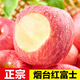 甜醉了煙臺(tái)蘋(píng)果水果生鮮果脆甜棲霞紅富士整箱應(yīng)季山東特產(chǎn)禮盒產(chǎn)地直發(fā) 紅富士6枚中果