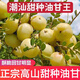 鮮木潮汕油柑王新鮮柿餅甜油甘果甜種油甘余甘果孕婦水果丙甜油柑 2斤【潮汕油柑王】