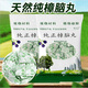 椰之寶（yezhibao）【0添加】天然純樟腦丸房間樟木條防霉樟腦球衣柜驅(qū)蟲香味防蟑螂 400克