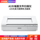 愛普生（EPSON） DS50000掃描儀高清高速A3文檔平板大幅面圖紙文件照片檔案紡織布料印花地板 DS50000（A3平板掃描儀）