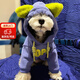 貝初眾狗狗衣服冬天小型犬雪納瑞泰迪法斗柴犬博美衛(wèi)衣保暖小狗衣服 綠耳朵潮款衛(wèi)衣 XL 建議10-15斤