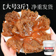 漁夢(mèng)傳承正宗舟山特級野生海蜇頭5斤桶裝非即食涼拌菜紅花海蜇頭順豐直達 3斤凈重大號花海蜇頭順豐桶裝
