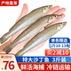 朵芙海捕沙丁魚(yú) 3斤 海魚(yú)活凍沙尖沙鉆冷凍 燒烤海鮮水產(chǎn)魚(yú)類 3斤【14-18cm】無(wú)冰凈重