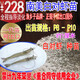 漁鄉(xiāng)子 南美白對(duì)蝦苗  10萬尾起訂 基尾蝦苗 對(duì)蝦苗出口 各鹽度定制 對(duì)蝦苗飼料