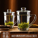 喜碧（Scybe）格隆耐熱帶蓋把手杯 玻璃杯透明男女士辦公室綠茶杯水杯子花茶杯 2只納爾佛335mL