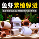 寵小帥魚(yú)缸造景躲避屋魚(yú)蝦繁殖洞水族箱產(chǎn)卵窩創(chuàng  )意套餐蝦屋假山陶罐擺件 【米色組合】911平底陶罐901蘑菇910小花瓶