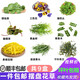 良知農(nóng)哥 【順豐】清香木甜品蛋糕裝飾用葉子西餐烘培裝飾擺盤花草青香 9種擺盤花草組合共約100g