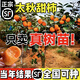 太秋甜柿樹苗南北方庭院地栽特大果樹活苗盆栽嫁接甜脆柿當(dāng)年結(jié)果 太秋甜柿樹苗四年苗（帶泥球） 50cm(含)-60cm(不含)