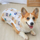 Lanswood 狗狗衣服夏季小型犬寵物柯基衣服薄款泰迪小狗夏日狗背心防掉毛 卡通小熊【背心款】 L 建議22-28斤