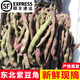 辰實東北紫豆角【發(fā)順豐】大紫袍蕓豆 新鮮蔬菜凍死鬼長扁豆 5斤