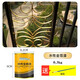 沐萱牌金色油漆黃金漆 室內(nèi)裝修描金涂料超亮燙金環(huán)保室外耐候金箔漆 水性金箔0.3kg