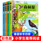 森林報(bào)春夏秋冬全套四冊(cè) 兒童文學(xué)讀物三四五六年級(jí)小學(xué)生課外閱讀書籍二十一世紀(jì)出版社 新華書店正版 森林報(bào)系列 (春夏秋冬）全套共4冊(cè) 彩色版