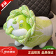 LittleCuCu蔬菜精靈菜狗娃娃抱枕睡覺(jué)玩偶白菜狗公仔毛絨玩具女友小孩禮物 經(jīng)典蹲姿公仔30厘米 帶防偽標，尺寸以吊牌為準