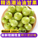 星云湖 潮汕新鮮油甘果 余甘子牛甘果余甘果油柑果 云南滇橄欖孕婦水果 1斤【嘗鮮裝】 酸澀回甘丨腌制泡酒榨汁