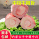 牛家紀(jì)牛骨髓 內(nèi)蒙古新鮮牛骨髓中段骨 網(wǎng)紅燒烤牛骨髓  黃牛骨頭純中段 凈重5斤