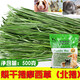 2021烘烤提摩西草兔子草糧荷蘭豬牧草飼料北提豚鼠龍貓干草段500g
