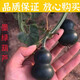 美國(guó)手捻葫蘆種子孑墨綠翠綠文玩小盆栽陽(yáng)臺(tái)翠玉小葫蘆葫蘆籽大全 墨綠葫蘆10粒 包純種