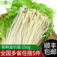 新鮮金針菇250g 食用菌菇 涼拌燒烤火鍋蔬菜麻辣燙食材配菜