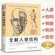 經(jīng)典全集 全解人體結(jié)構(gòu)藝術(shù)用解剖學(xué)工具書籍素描美術(shù)繪畫入門教程理解骨骼肌肉運(yùn)動(dòng)造型形體