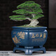 爵遇良品 精品紫砂花盆家用大號君子蘭花盆方形盆景花盆羅漢松三角梅花盆 寶藍色(配套底座) 大