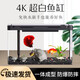 寵小帥亞克力魚缸4K超白客廳桌面烏龜缸生態(tài)造景一體水族箱自循環(huán)金魚缸 30【裸缸】