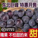 【順豐快遞】巨峰葡萄東北遼寧新鮮水果整箱當季批發(fā)大果孕婦無(wú)籽 5斤精選大果