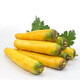 疆無(wú)季新疆特產(chǎn)黃胡蘿卜 5斤裝 清燉羊肉手抓飯配菜黃色胡蘿卜應季蔬菜 黃蘿卜5斤裝 5斤*1箱