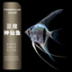 森悠（SARYOR）神仙魚(yú)燕魚(yú)秘魯神仙熱帶觀(guān)賞魚(yú)紅頭墨燕藍魔小型活體淡水 3-4cm藍魔仙2條+1條防損