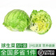 綠食者  球生菜5斤 西生菜圓生菜 漢堡用西餐沙拉色拉食材 健康輕食蔬菜 5斤