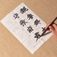 臻言 魏碑全文宣紙描紅字帖 楷書詩詞 學生成人初學者毛筆書法入門臨摹大字半生熟宣紙書法紙作品 張猛龍碑全文描紅 79張/包