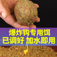 挺派大爆炸鉤餌料野釣遠投魚餌青草鯉魚江河專用拋竿海竿爆炸鉤餌料 窩霸-巨物通殺型爆炸餌1800G