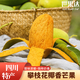 世果達(dá)四川攀枝花椰香芒果覃斗雞蛋芒攀研二號大綠青皮新鮮水果整箱禮盒 椰香芒5斤普箱【大果150g+】