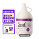 格倫仕寶寵物狗狗用品沐浴露洗澡浴液護毛素金毛比熊 【加量裝】貓咪專用-4L