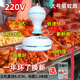 悅靜趕蒼蠅風(fēng)扇驅(qū)蠅水果商店驅(qū)蚊風(fēng)扇鹵菜肉熟食店專用小吊扇轉(zhuǎn)轉(zhuǎn)神器 趕蠅扇+絲帶(無扇葉)