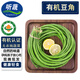 聽蔬 有機(jī)豆角 長豆角豇豆 有機(jī)認(rèn)證無農(nóng)殘新鮮蔬菜匯 現(xiàn)摘現(xiàn)發(fā) 1斤