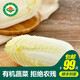 小湯山 有機(jī)三寶白菜 約800g 有機(jī)蔬菜基地種植當(dāng)天采摘
