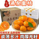 十里饞臨海涌泉蜜桔 無(wú)核橘子黃巖蜜橘 當(dāng)季柑橘桔子 帶箱10斤 中大果