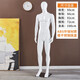 法耐（FANAI）【順豐】模特道具 服裝店男女模特衣服展示櫥窗服裝假人全身架子 男模特右邁腿【不銹鋼底盤】