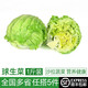 綠食者 新鮮球生菜500g 圓西生菜西餐漢堡色拉沙拉食材健康輕食新鮮蔬菜