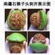 老農哥小眾青皮獅子頭官帽雞心虎頭文玩核桃新果下樹(shù)帶皮自開(kāi)文玩核桃 南疆石獅子頭 47-49mm一對