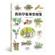 我的草根觀察圖鑒（日本圖書館協(xié)會選定圖書 激發(fā)孩子自然觀察興趣的入門指南）浪花朵朵